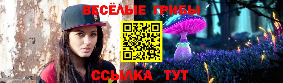 Галлюциногенные грибы ЛСД  даркнет сайт  Новодвинск  Вход с VPN  Галлюциногенные грибы GOLDEN TEACHER 